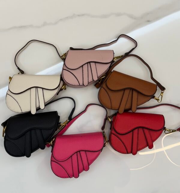 Dior saddle bag